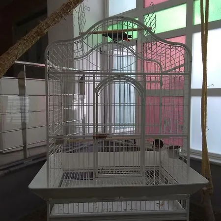 Otel Maritina İstanköy