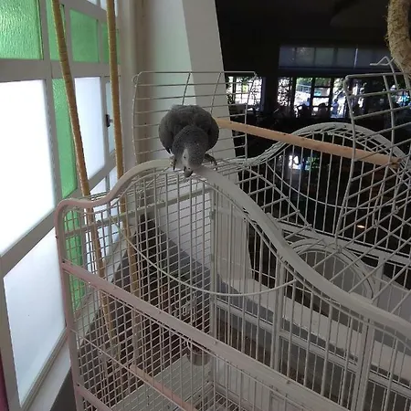 Hotel Maritina Kos Town